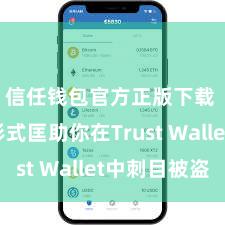 信任钱包官方正版下载 5个形式匡助你在Trust Wallet中刺目被盗